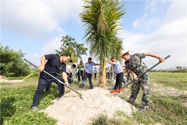 陵水开展椰林工程大行动义务植树活动 为宝岛
