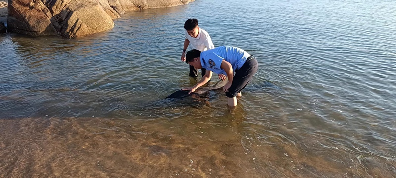 海豚第一次搁浅，民警到场救助。警方提供