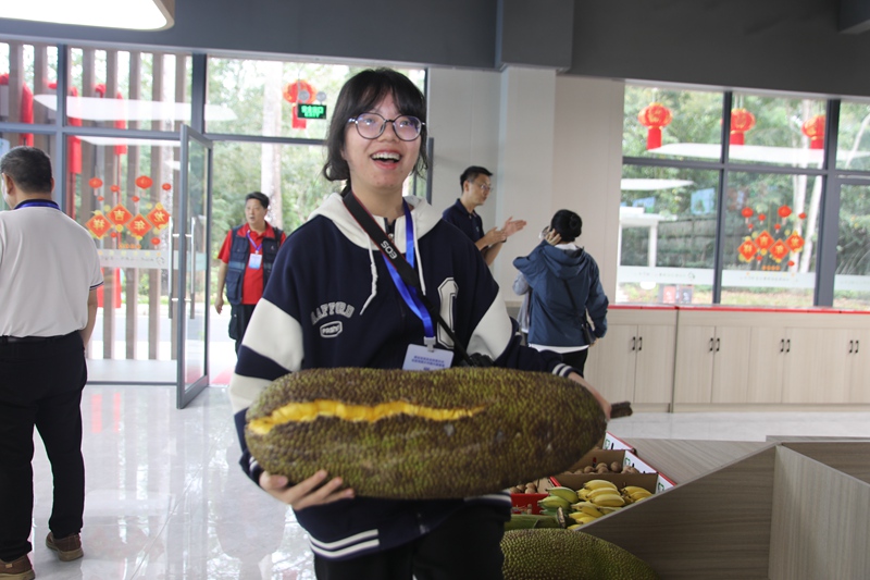 采访团成员在七仙岭果博中心内为菠萝蜜“称重”。陈期财摄